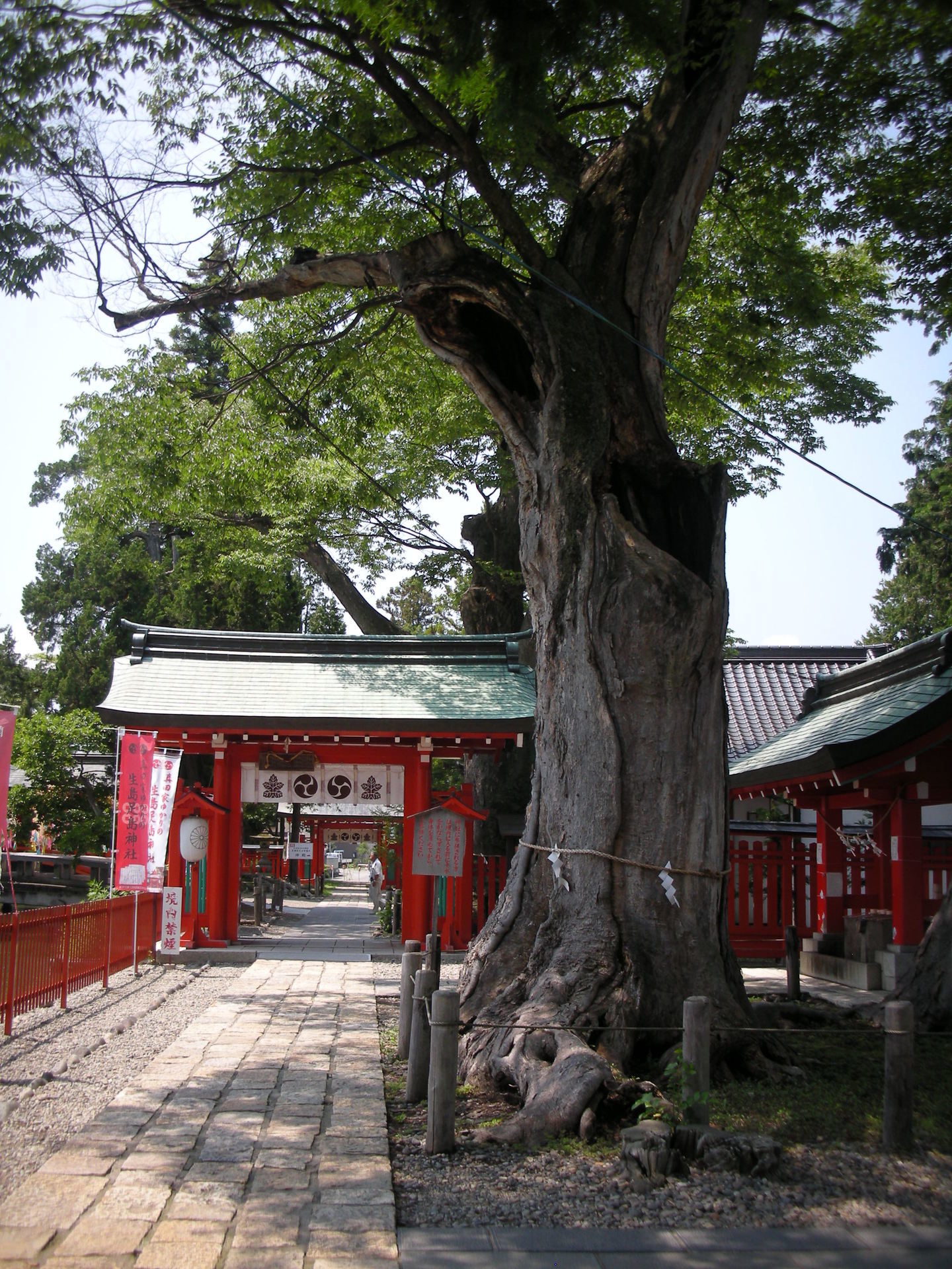 武田信玄と起請文 真田丸 ゆかりの地信州上田